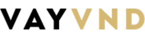 vayvnd.vn logo